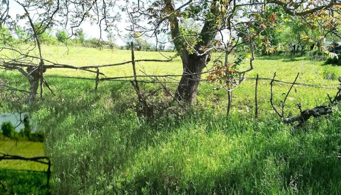 Vaidacuta -  Reduceri - Vaidacuta