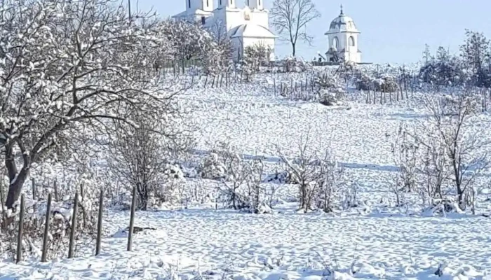 Valea Mare -  Zonă - Valea Mare