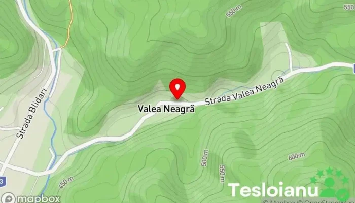 hartă a Valea Neagră  în Valea Neagră