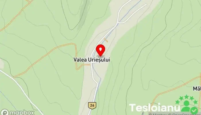 hartă a Valea Urieşului  în Valea Urieşului