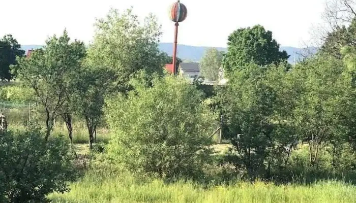 Valea Vinului - Valea Vinului