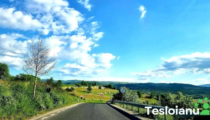 Valeni -  Site Web - Valeni
