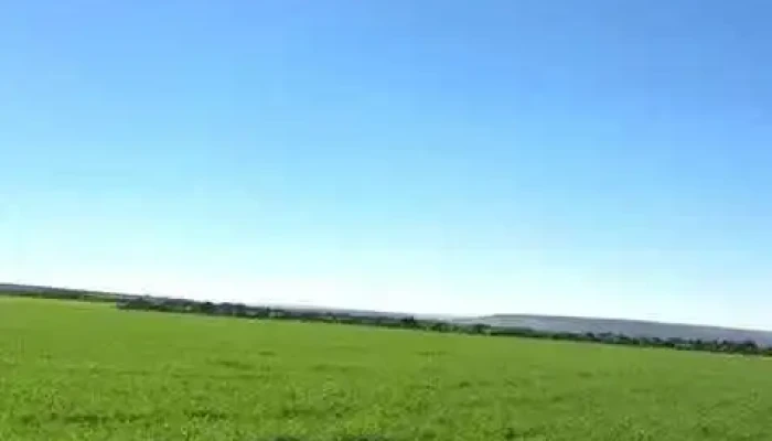 Vama Sighisoara Videoclipuri - Viilor