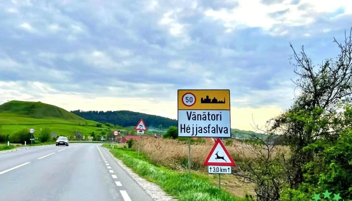 Vanatori Cele Mai Recente - Vânători