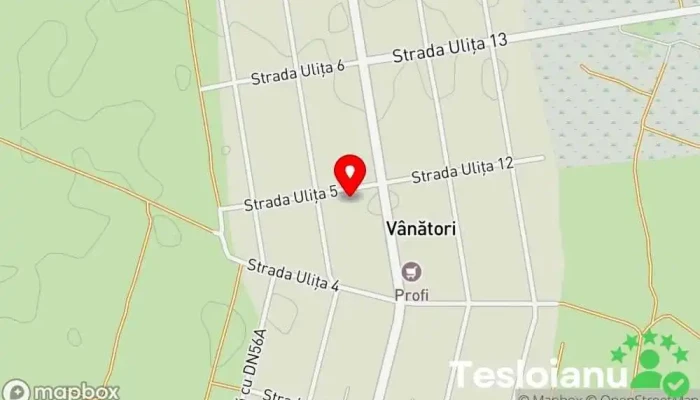 Vânători - Vânători