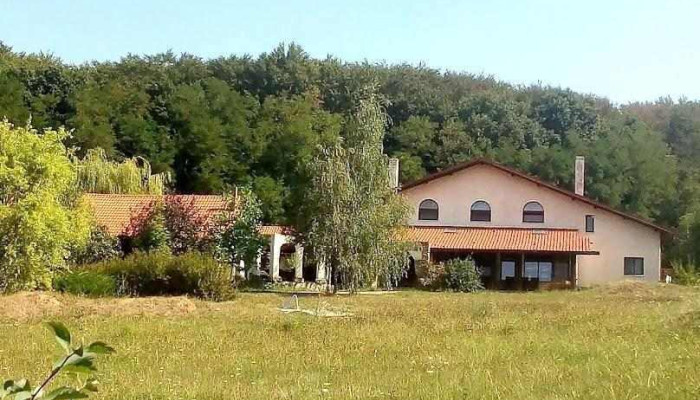 Vârfu Câmpului - Vârfu Câmpului