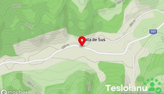 hartă a Vața de Sus  în Vața de Sus