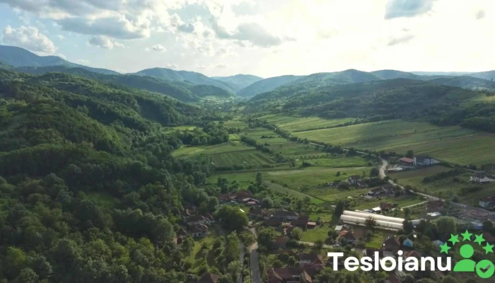 Vața de Jos - Vața De Jos