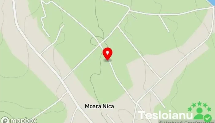 hartă a Verciuc Auto Service auto în Moara Nica