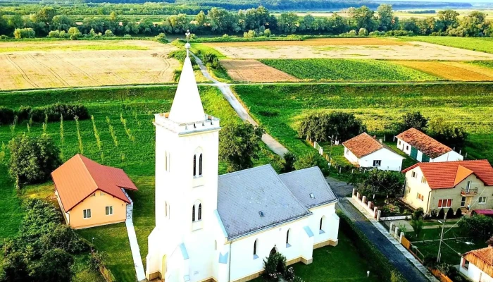 Vetis Promoție - Vetiș