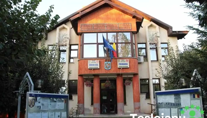 Vetrisoaia Comentarii - Vetrișoaia