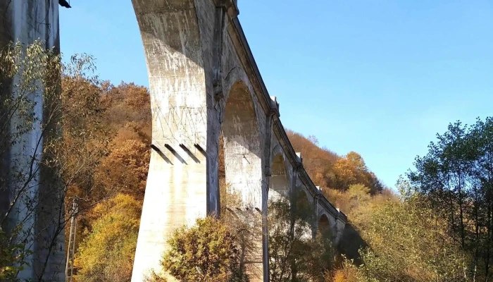 Viaductul Luncoiu De Jos -  Program - Brad