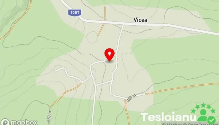 Vicea - Vicea