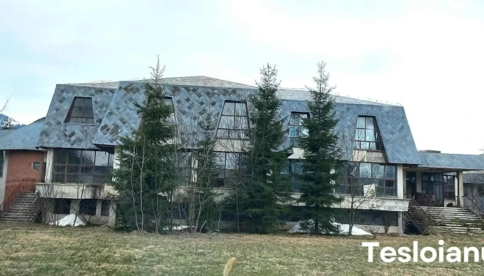 Vidra - Vidra