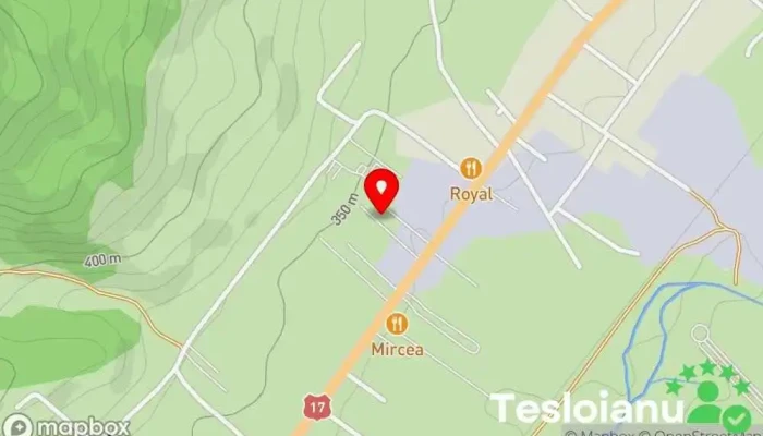 hartă a Viișoara  în 