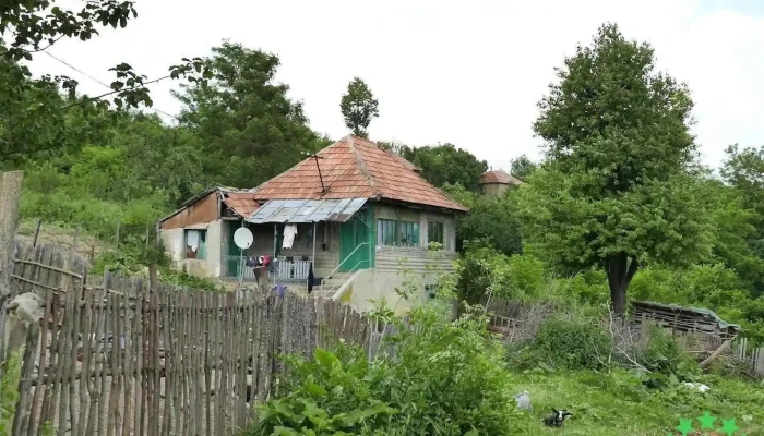 Viperești - Viperești