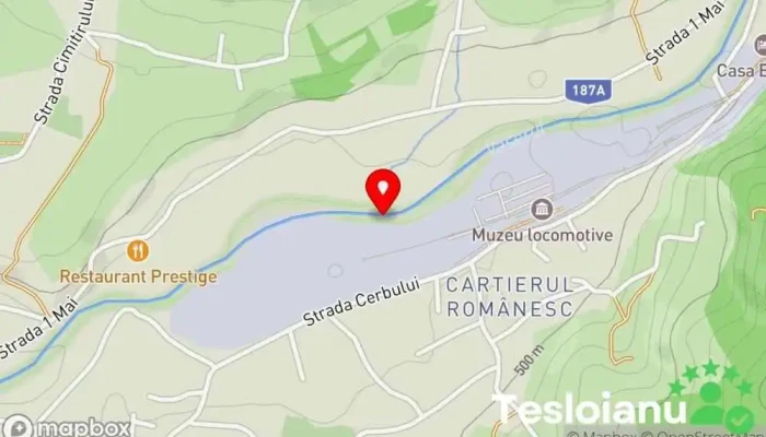 hartă a Vișeu de Sus  în Vișeu de Sus