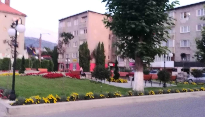 Viseul De Sus -  Comentarii - Vișeu De Sus