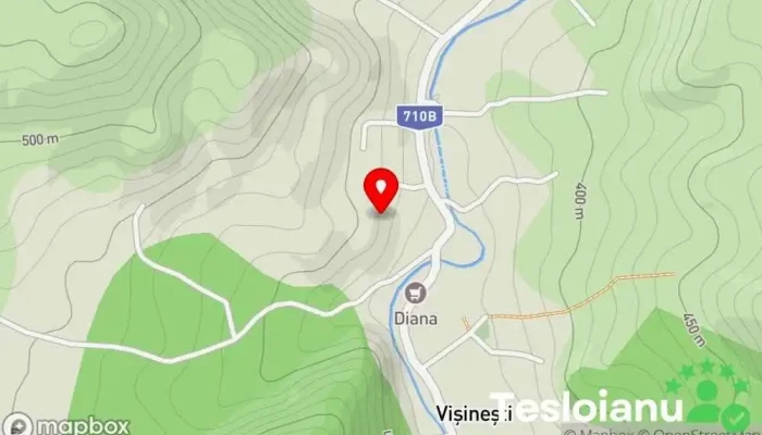 hartă a Vișinești  în Vișinești