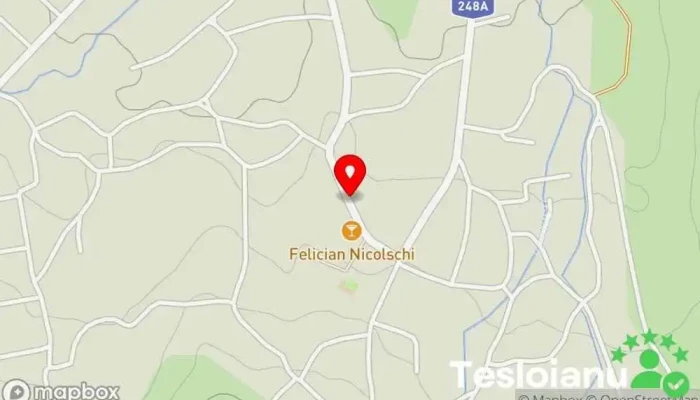 hartă a Voinești  în Voinești