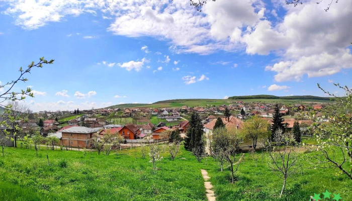 Voiniceni -  Deschis Acum - Voiniceni