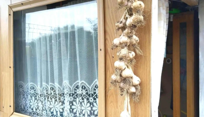 Voiniceni -  Număr - Romania
