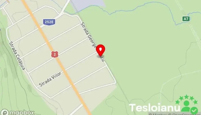 Vopsitorie Auto Racaciuni, Bacau - Servicii Tinichigerie si Vopsitorie Auto Duma Gică - Răcăciuni 607480