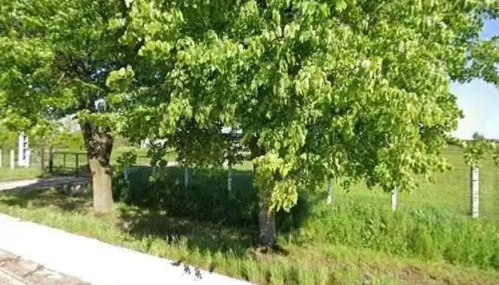 Vulcanizare Auto Dacos -  Street View Si 360deg - Frătăuții Noi