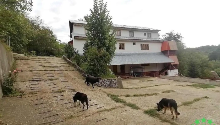 Vulcăneasa - Vulcăneasa