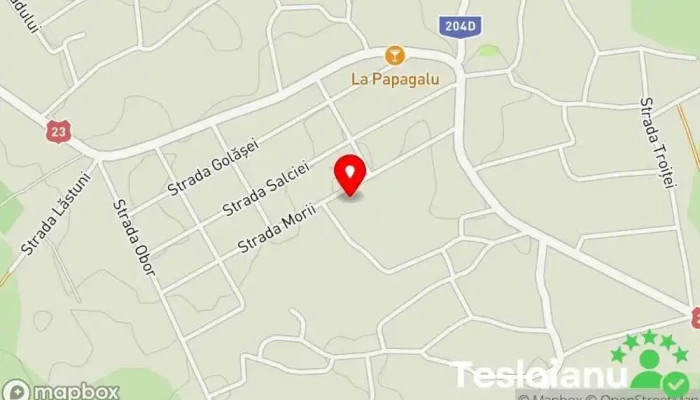 hartă a Vulturu  în Vulturu