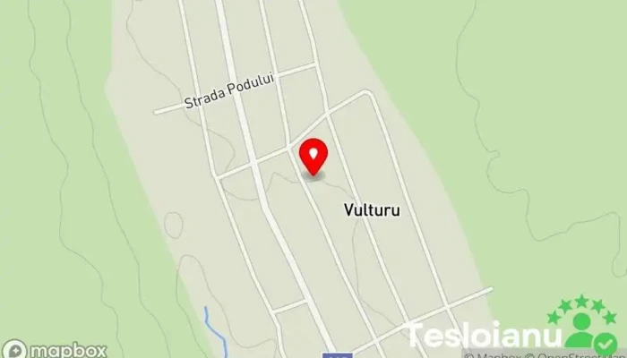Vulturu - Vulturu