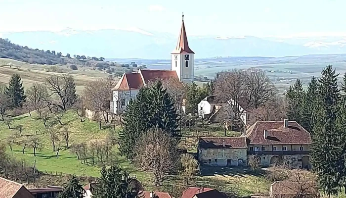 Vurpar Instagram - Vurpăr