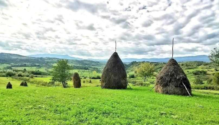 Văleni - Văleni