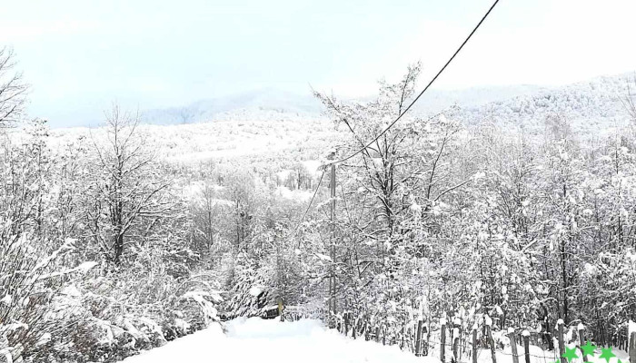 Vătava - Vătava