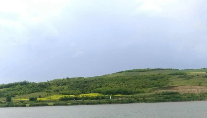 Zau -  Adresă - Romania
