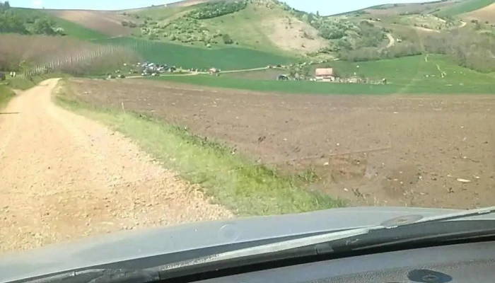 Zau De Campie Mures -  Cele Mai Recente - Zau De Câmpie