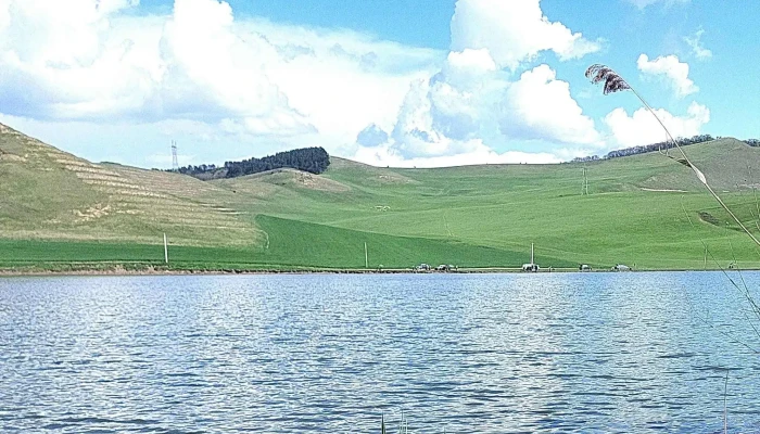 Zau De Campie Mures -  Prețuri - Zau De Câmpie
