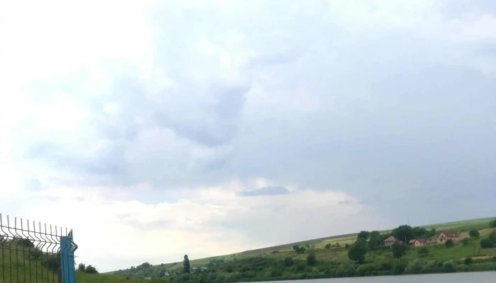 Zau -  Reduceri - Romania
