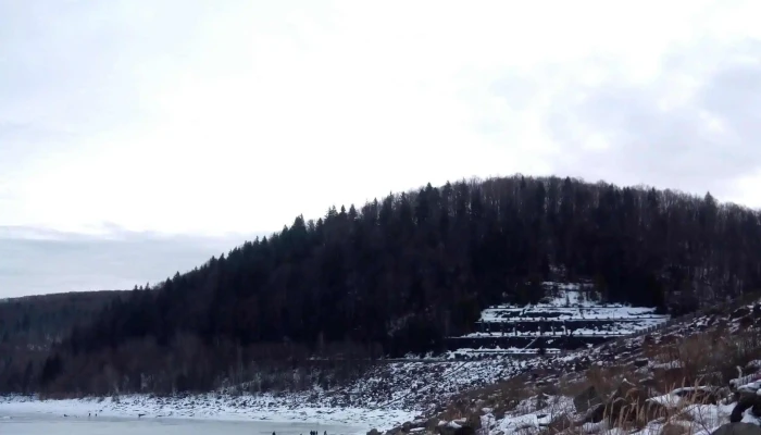 Zetea -  Deschis Acum - Romania