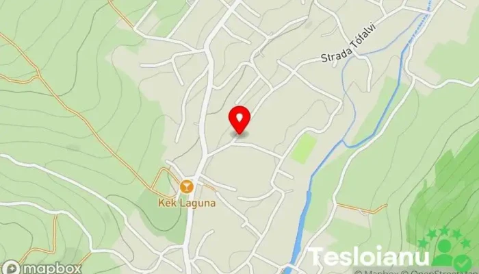 hartă a Zetea  în Zetea