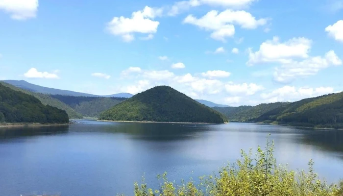 Zetea -  Instagram - Romania
