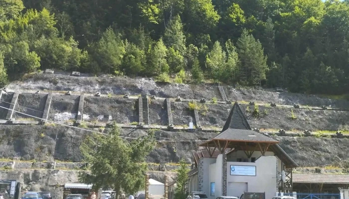 Zetea -  Număr - Romania