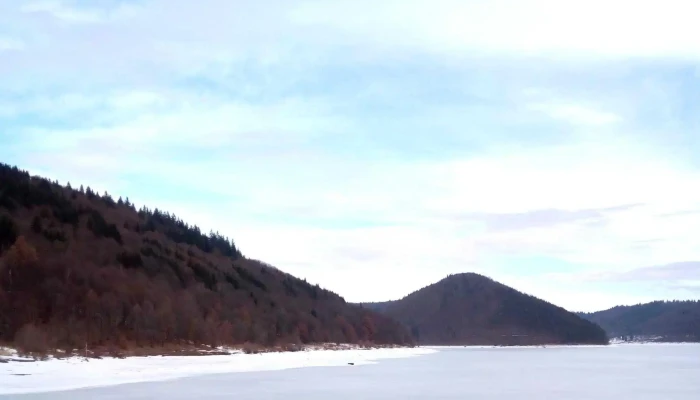 Zetea -  Reduceri - Romania