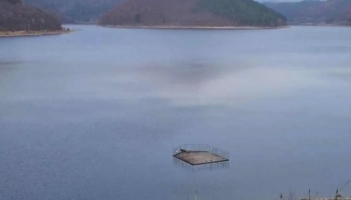Zetea -  Videoclipuri - Romania