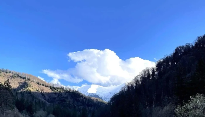 Zona Turistica Valea Avrigului Site Web - Avrig