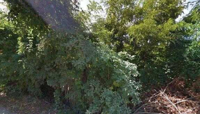 Zona Turistica Valea Avrigului Street View Si 360deg - Avrig