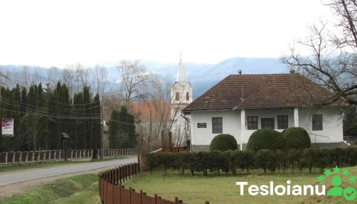 Zăbala - Zăbala