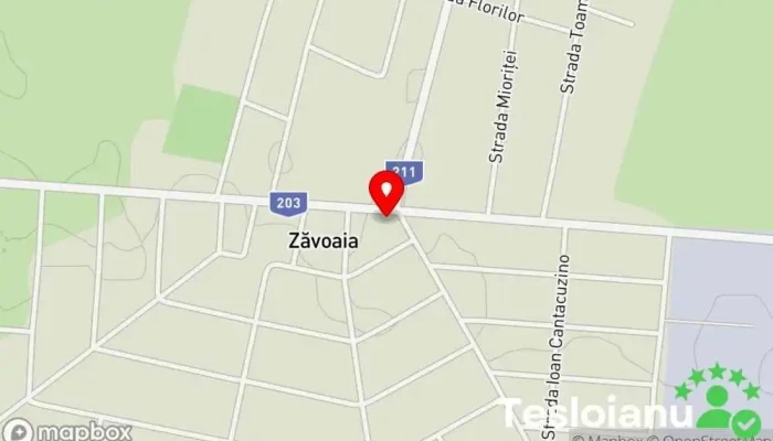 Zăvoaia - Zăvoaia
