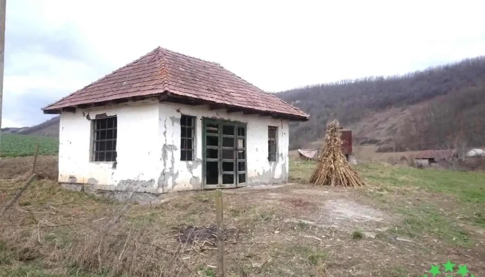 Şăuşa - Şăuşa