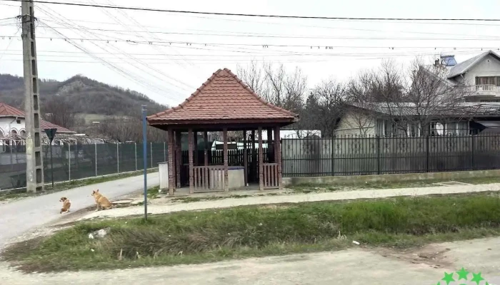 Ștefănești - Ștefănești